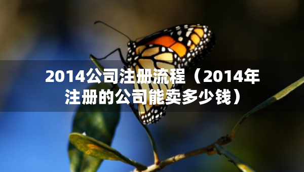 2014公司注冊流程（2014年注冊的公司能賣多少錢）