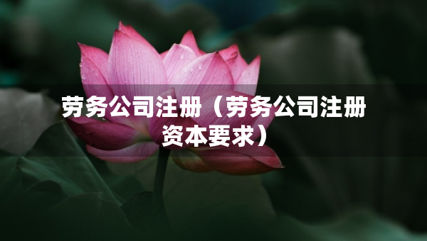 勞務公司注冊（勞務公司注冊資本要求）