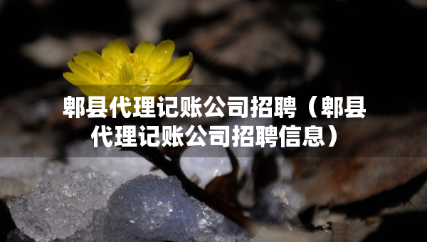 郫縣代理記賬公司招聘（郫縣代理記賬公司招聘信息）