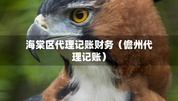 海棠區(qū)代理記賬財務(wù)（儋州代理記賬）