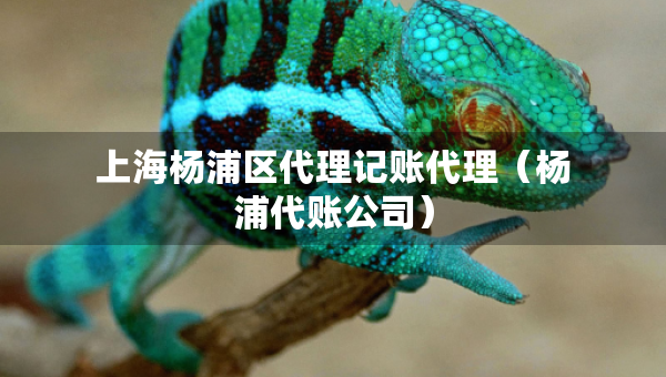 上海楊浦區(qū)代理記賬代理（楊浦代賬公司）