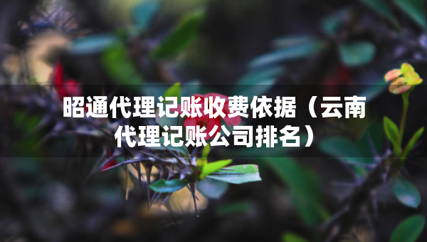 昭通代理記賬收費(fèi)依據(jù)（云南代理記賬公司排名）