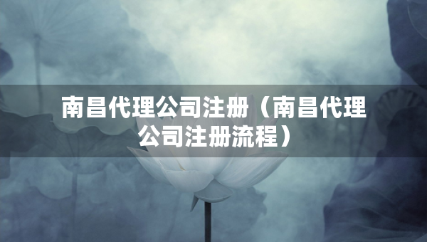 南昌代理公司注冊(cè)（南昌代理公司注冊(cè)流程）