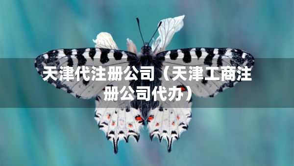 天津代注冊(cè)公司（天津工商注冊(cè)公司代辦）