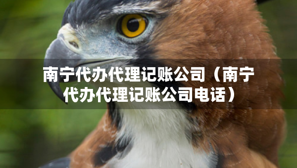 南寧代辦代理記賬公司（南寧代辦代理記賬公司電話）