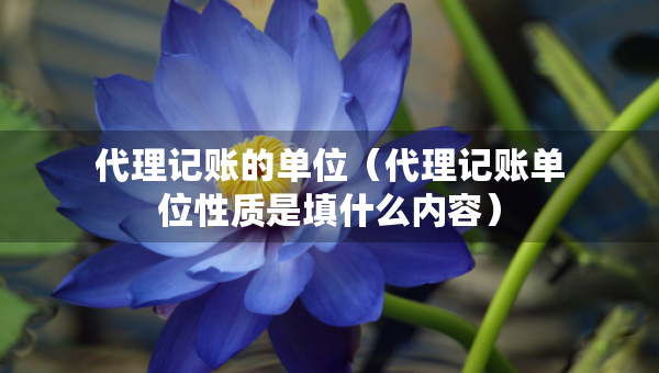 代理記賬的單位（代理記賬單位性質(zhì)是填什么內(nèi)容）
