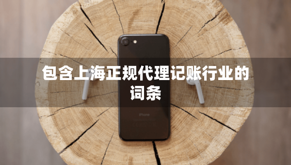 包含上海正規(guī)代理記賬行業(yè)的詞條