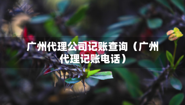 廣州代理公司記賬查詢（廣州代理記賬電話）
