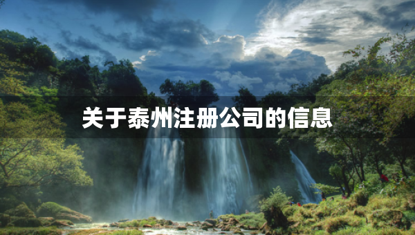 關(guān)于泰州注冊公司的信息