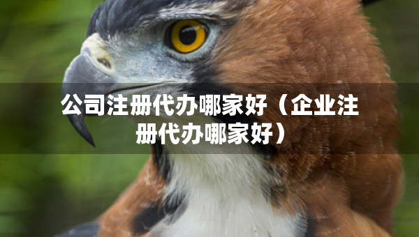 公司注冊代辦哪家好（企業(yè)注冊代辦哪家好）