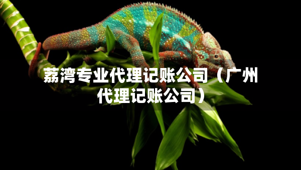 荔灣專業(yè)代理記賬公司（廣州代理記賬公司）