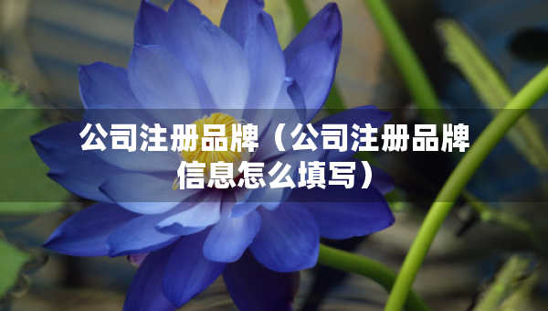 公司注冊(cè)品牌（公司注冊(cè)品牌信息怎么填寫）