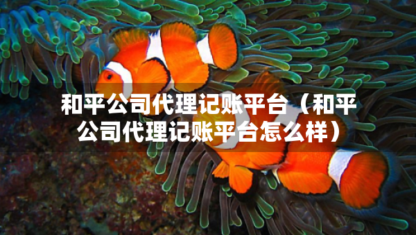 和平公司代理記賬平臺（和平公司代理記賬平臺怎么樣）