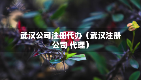 武漢公司注冊(cè)代辦（武漢注冊(cè)公司 代理）