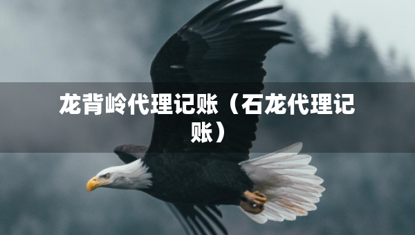 龍背嶺代理記賬（石龍代理記賬）