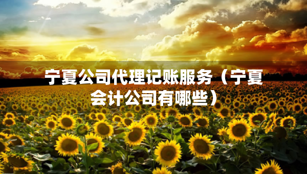 寧夏公司代理記賬服務(wù)（寧夏會計(jì)公司有哪些）