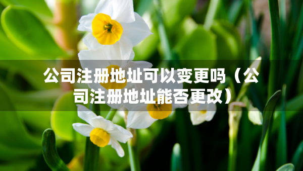 公司注冊地址可以變更嗎（公司注冊地址能否更改）