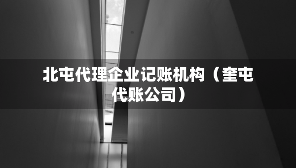 北屯代理企業(yè)記賬機(jī)構(gòu)（奎屯代賬公司）