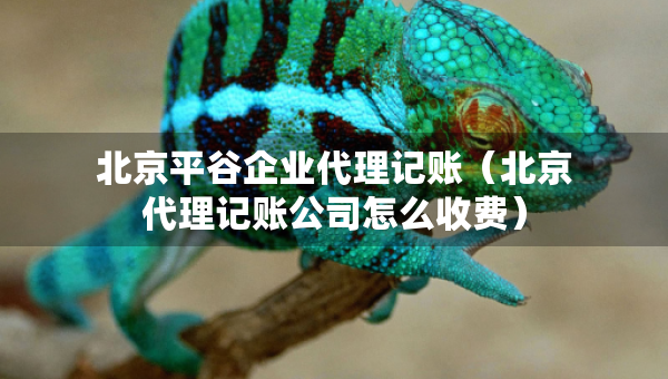 北京平谷企業(yè)代理記賬（北京代理記賬公司怎么收費(fèi)）