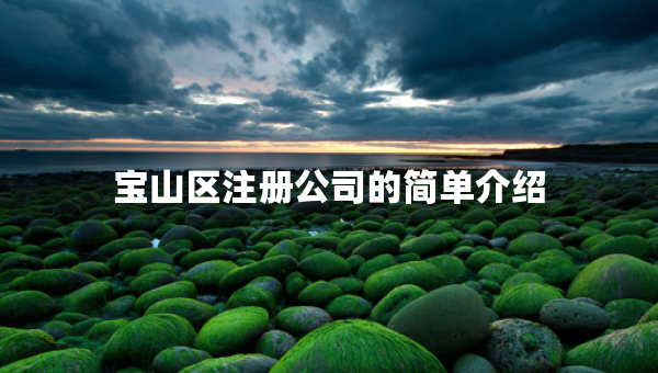 寶山區(qū)注冊(cè)公司的簡(jiǎn)單介紹