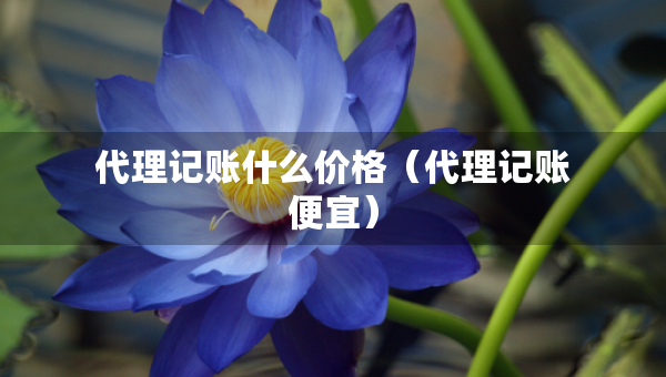 代理記賬什么價(jià)格（代理記賬便宜）