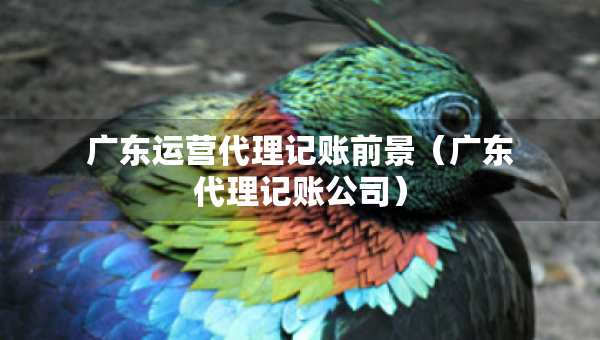 廣東運(yùn)營(yíng)代理記賬前景（廣東代理記賬公司）
