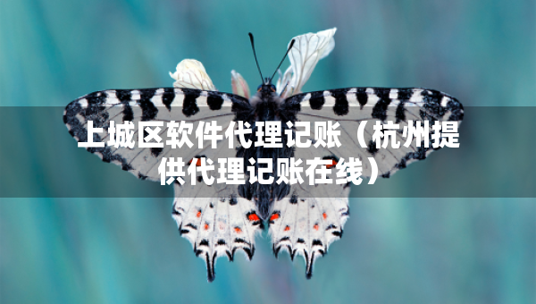 上城區(qū)軟件代理記賬（杭州提供代理記賬在線）