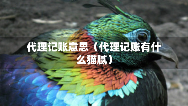 代理記賬意思（代理記賬有什么貓膩）