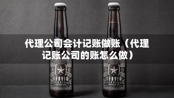 代理公司會(huì)計(jì)記賬做賬（代理記賬公司的賬怎么做）