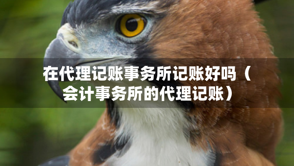 在代理記賬事務(wù)所記賬好嗎（會(huì)計(jì)事務(wù)所的代理記賬）