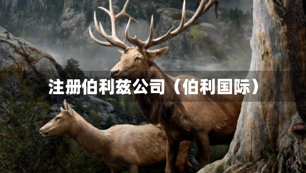 注冊(cè)伯利茲公司（伯利國(guó)際）