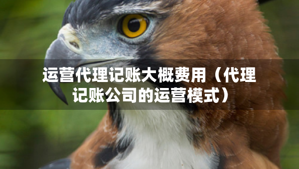 運營代理記賬大概費用（代理記賬公司的運營模式）