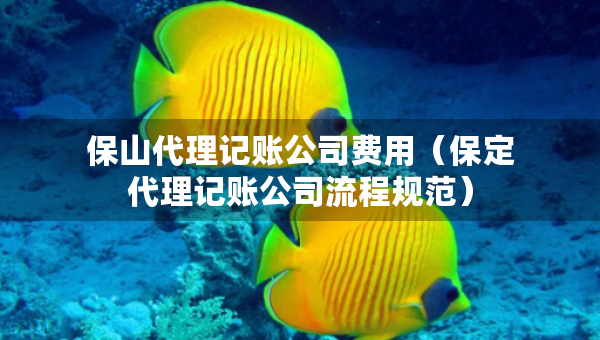保山代理記賬公司費用（保定代理記賬公司流程規(guī)范）