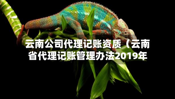 云南公司代理記賬資質(zhì)（云南省代理記賬管理辦法2019年修訂版）