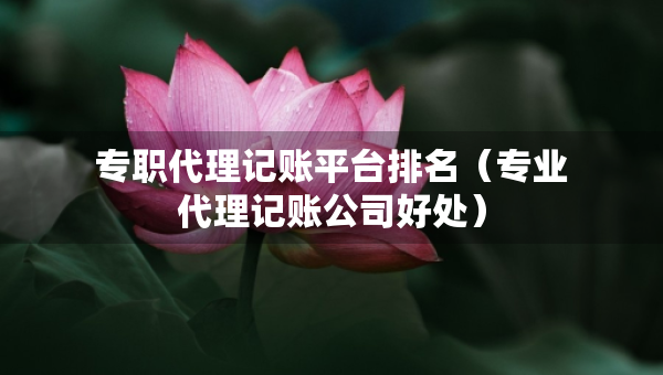 專職代理記賬平臺(tái)排名（專業(yè)代理記賬公司好處）