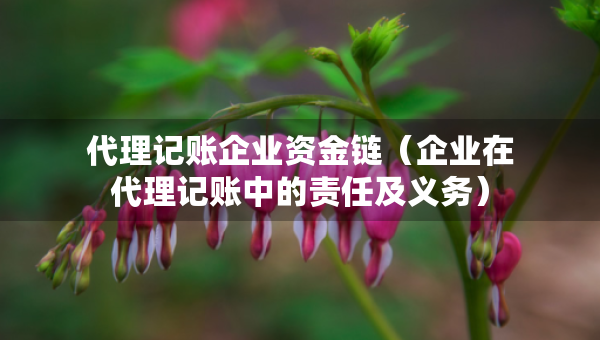 代理記賬企業(yè)資金鏈（企業(yè)在代理記賬中的責(zé)任及義務(wù)）