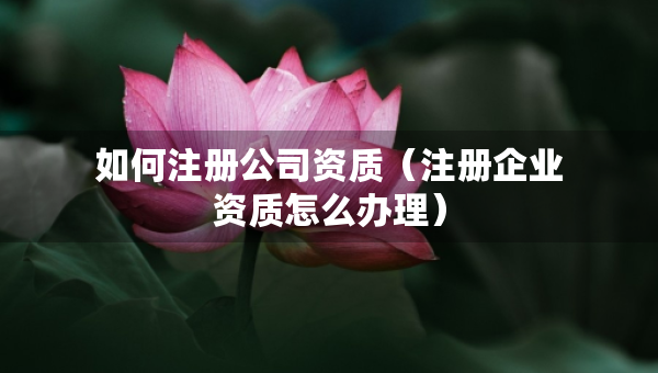 如何注冊(cè)公司資質(zhì)（注冊(cè)企業(yè)資質(zhì)怎么辦理）