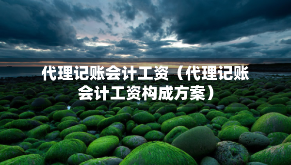 代理記賬會(huì)計(jì)工資（代理記賬會(huì)計(jì)工資構(gòu)成方案）
