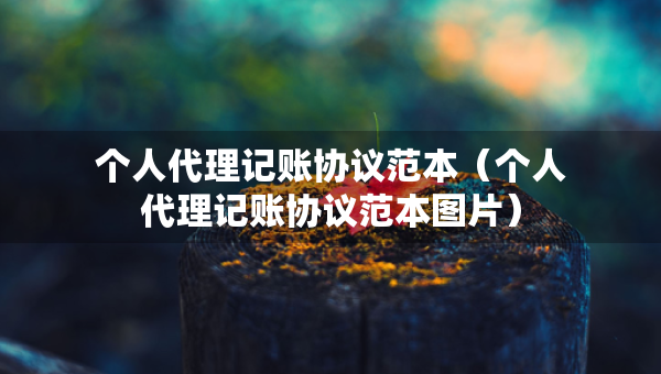 個(gè)人代理記賬協(xié)議范本（個(gè)人代理記賬協(xié)議范本圖片）