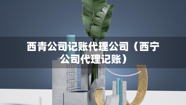 西青公司記賬代理公司（西寧公司代理記賬）