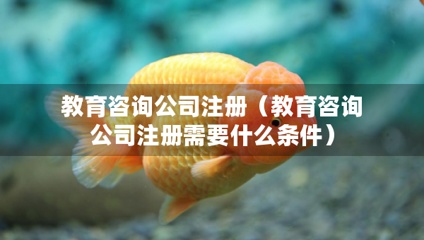 教育咨詢公司注冊（教育咨詢公司注冊需要什么條件）