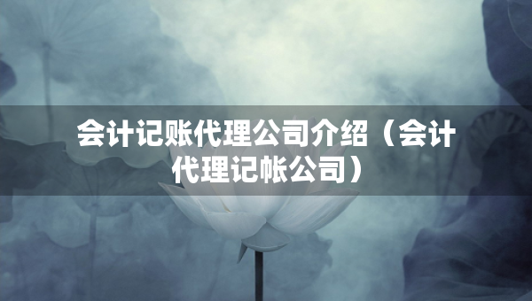 會(huì)計(jì)記賬代理公司介紹（會(huì)計(jì)代理記帳公司）
