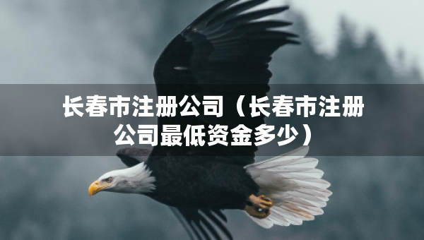 長春市注冊公司（長春市注冊公司最低資金多少）