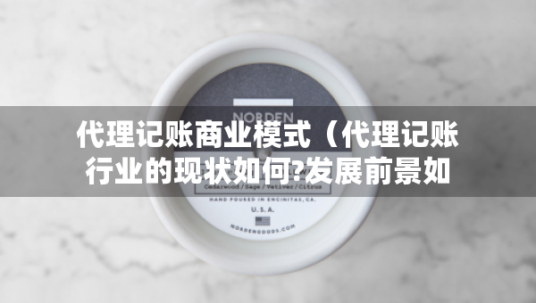 代理記賬商業(yè)模式（代理記賬行業(yè)的現(xiàn)狀如何?發(fā)展前景如何?）