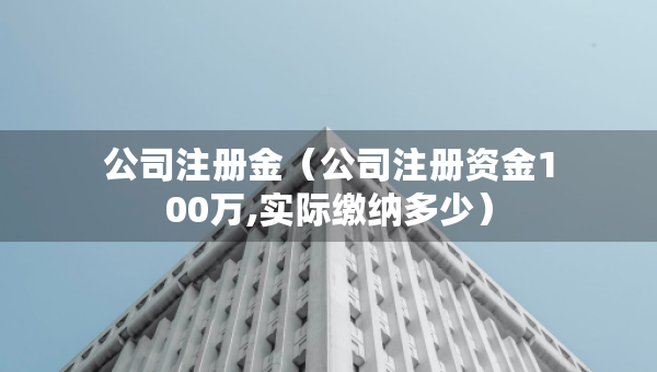 公司注冊(cè)金（公司注冊(cè)資金100萬,實(shí)際繳納多少）