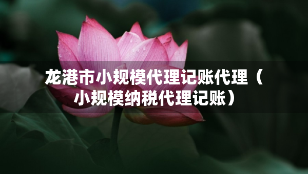 龍港市小規(guī)模代理記賬代理（小規(guī)模納稅代理記賬）