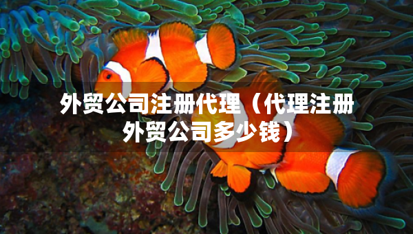 外貿(mào)公司注冊代理（代理注冊外貿(mào)公司多少錢）