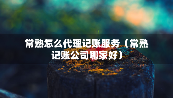 常熟怎么代理記賬服務(wù)（常熟記賬公司哪家好）