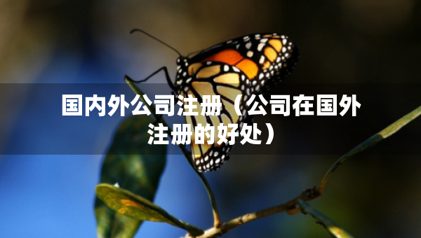 國內(nèi)外公司注冊（公司在國外注冊的好處）