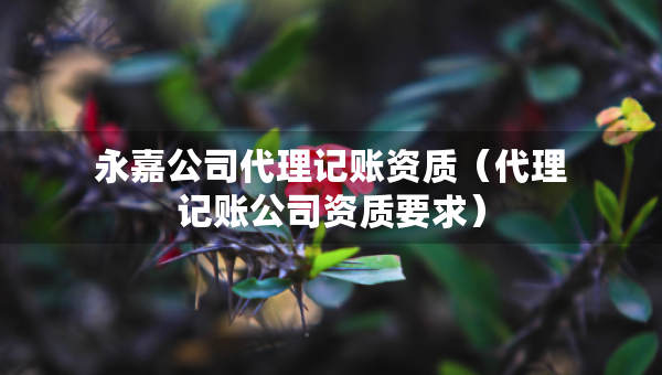 永嘉公司代理記賬資質(zhì)（代理記賬公司資質(zhì)要求）